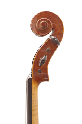 viola gazich testa.JPG