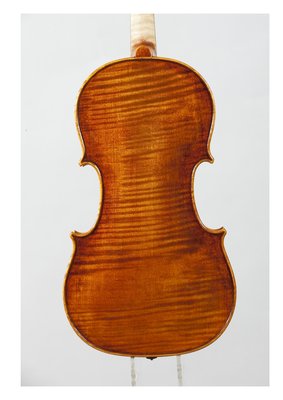 benedicte friedmann violino fondo.jpg