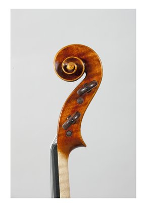 benedicte friedmann violino testa.jpg