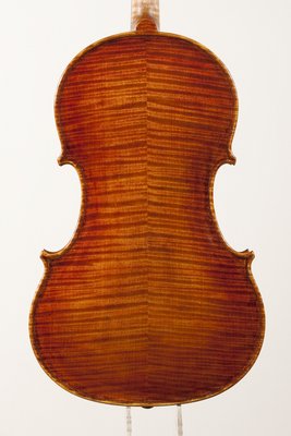 Elisabetta Giordano viola Tertis fondo dettagli.jpg