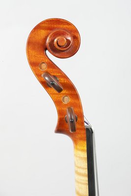testa violino Michielon.jpg