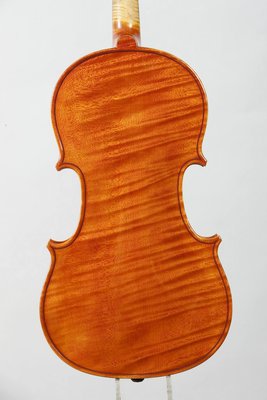 fondo violino Michielon.jpg
