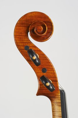 tenore violino testa.jpg