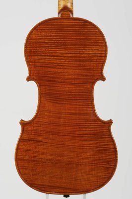 tenore violino fondo.jpg