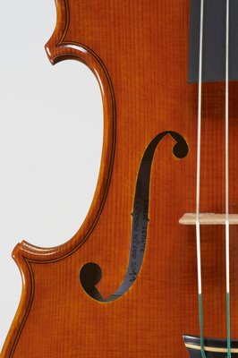 tenore violino dettagli.jpg