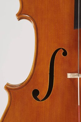 tenore cello dettagli.jpg