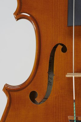 Gianluca Zanetti violino.jpg