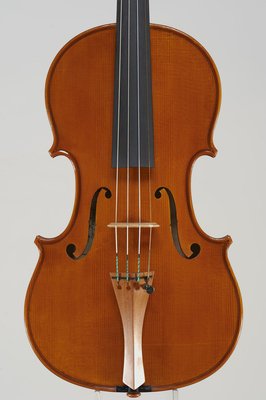 Gianluca Zanetti violino tavola.jpg