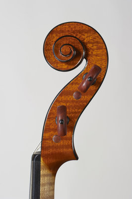 Gianluca Zanetti violino testa.jpg