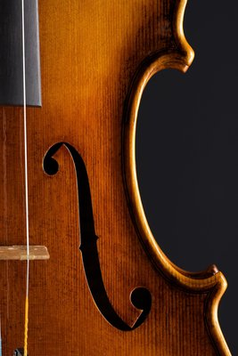 Bénédicte Friedmann.jpg