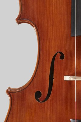 Alessandro Tossani cello dettagli.jpg