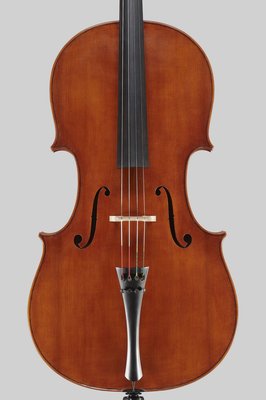 Alessandro Tossani cello.jpg