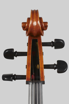 Alessandro Tossani testa 3.jpg