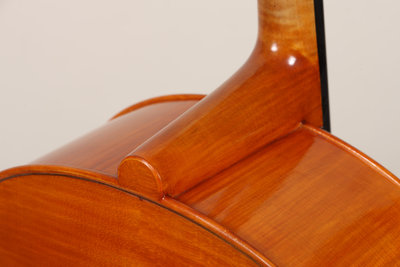 Luca Bastiani violoncello.jpg