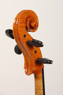 Luca Bastiani violoncello testa dettagli.jpg