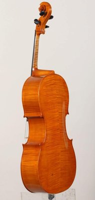 Luca Bastiani violoncello fondo.jpg