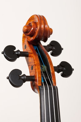 Luca Bastiani testa dettagli violino.jpg