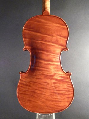 Michielon violino fondo.jpg
