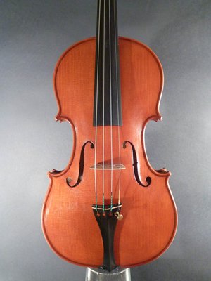 Michielon violino.jpg