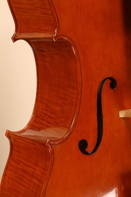 Luca Bastiani dettagli 2012.jpg