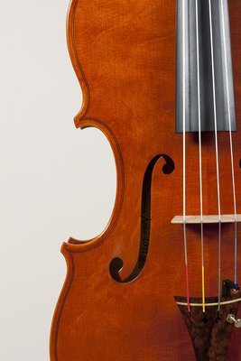 Bisso dettagli viola 2011.jpg