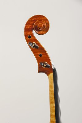 Bisso testa viola 2011.jpg