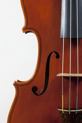 Vincenzo Bissolotti violino.jpg