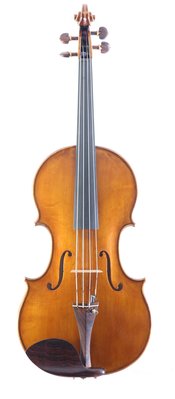 violino fronte intero.jpg