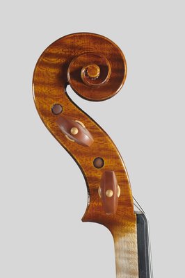 Primo Pistoni  violin testa.jpg