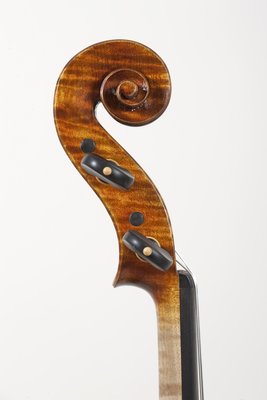 Nilton De Camargo testa.jpg