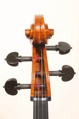 Luca Bastiani 2013 testa.jpg