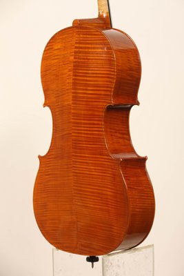 Luca Bastiani 2013 fondo.jpg