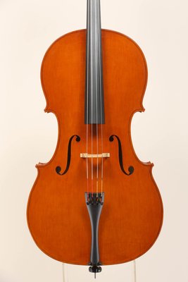 Luca Bastiani 2013.jpg