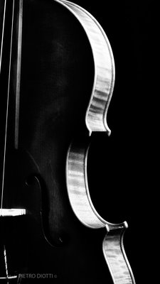 viola2013_01-098.jpg