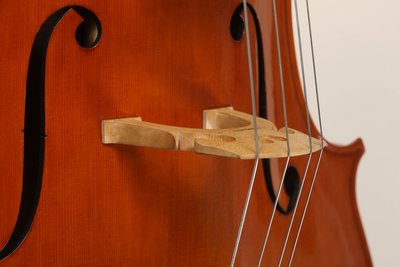 Bastiani 2013 ponticello.jpg