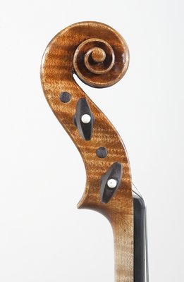 Il cannone testa.jpg