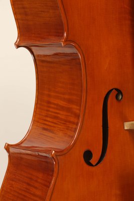 Bastiani 2013 punte 3.jpg