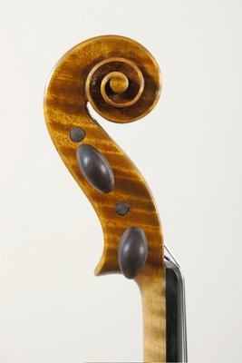 testa Guarneri Del Gesù Elisabetta Giordano 2009.jpg