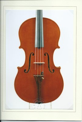 viola salò 1 bisso tavola.jpg