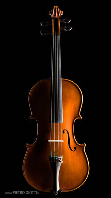 violino01_035.jpg