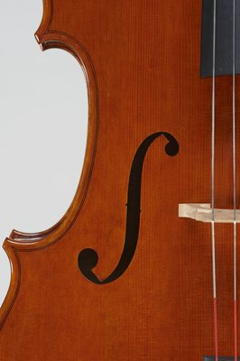 Luca Tenore dettagli 2013.jpg