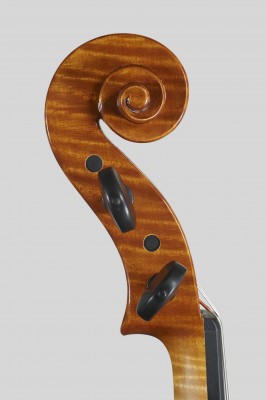 Luca Bastiani testa s.jpg