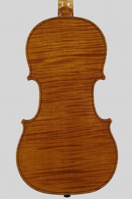 Luca Bastiani fondo s.jpg