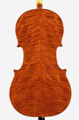 Lorenzo Cassi violoncello_quartetto_fondo 2014.jpg