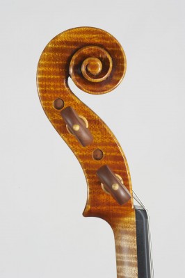 Daniele Scolari violino testa.jpg